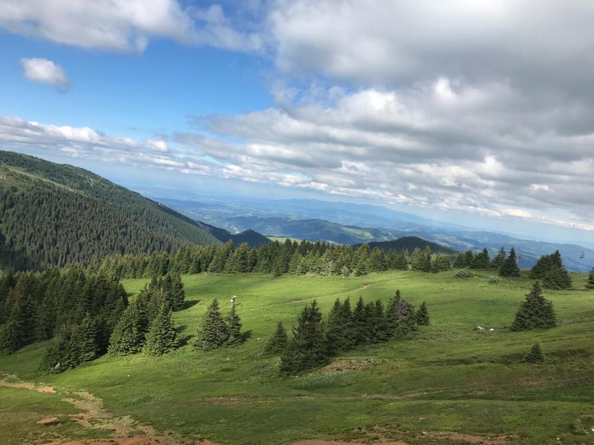 Planinsko Jutro - Brzece Centar Apartments, Kopaonik Buitenkant foto